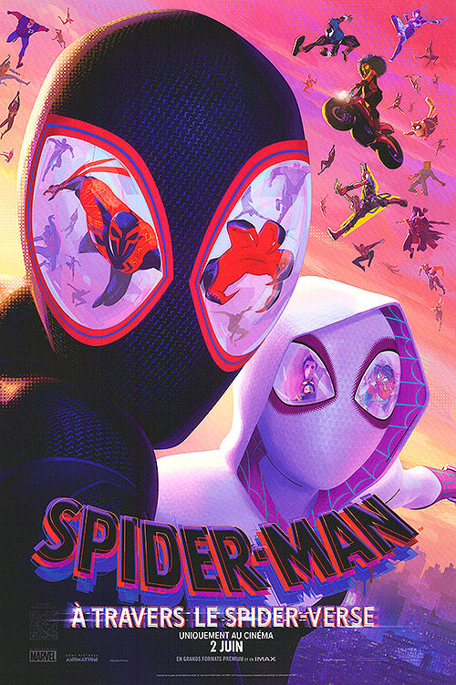 SpiderMan Across the SpiderVerse (French)
