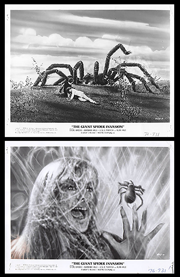 Giant Spider Invasion