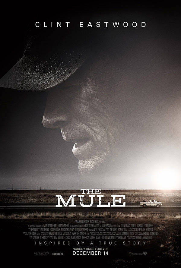 Mule