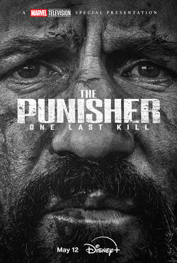 Punisher: One Last Kill