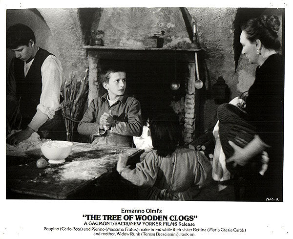 Tree of Wooden Clogs