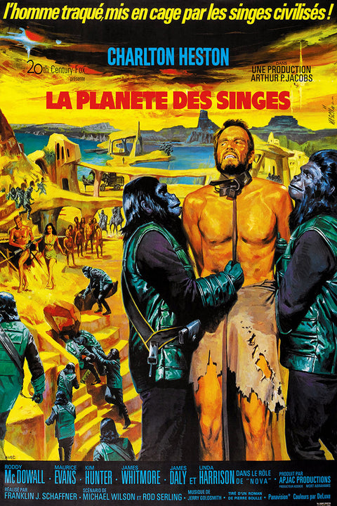 Planet Of The Apes (French)