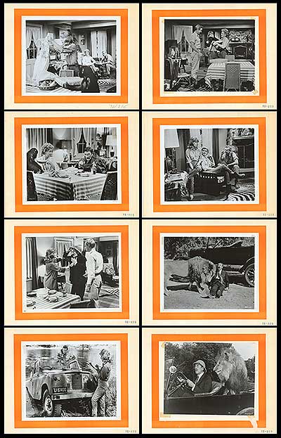 Clarence the Cross-Eyed Lion