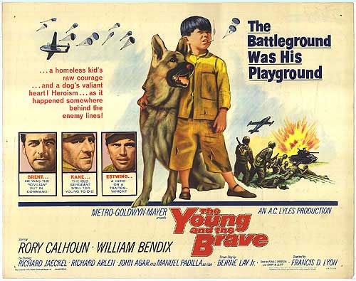 Young And The Brave
