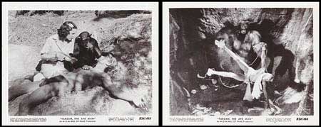 Tarzan The Ape Man