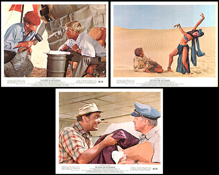 Flight Of The Phoenix