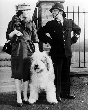 Carry on Constable