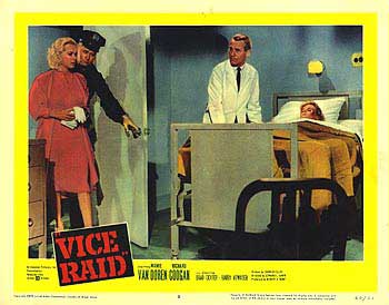 Vice Raid