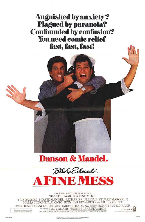 Fine Mess