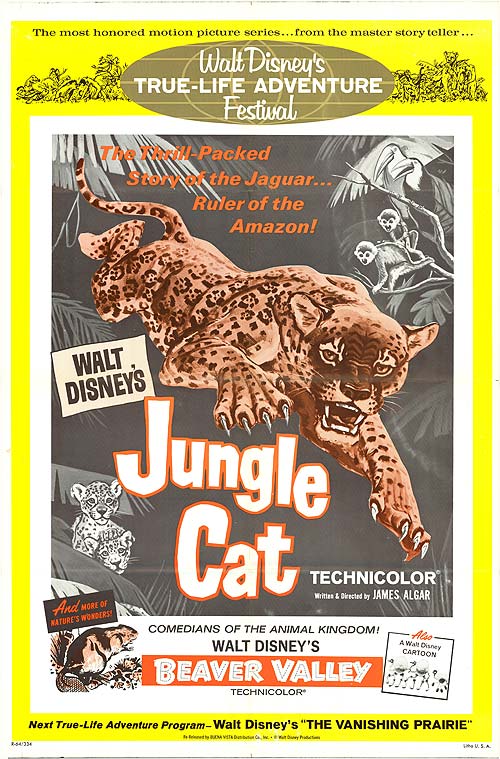 Jungle Cat