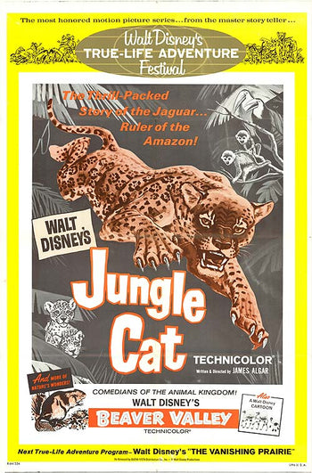 Jungle Cat