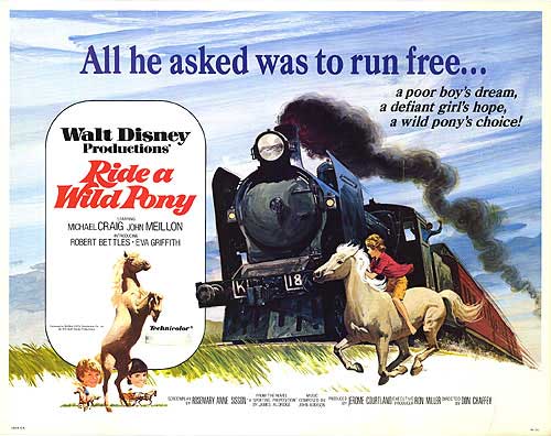 Ride A Wild Pony