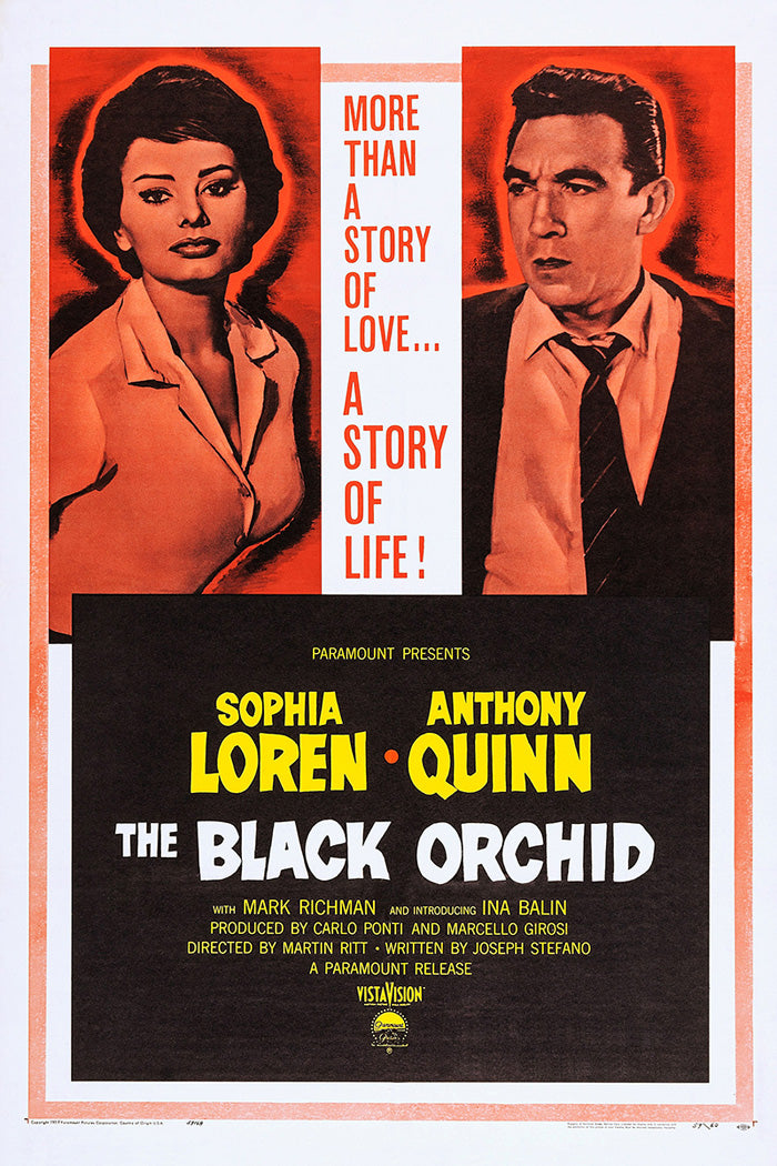 Black Orchid