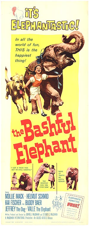 Bashful Elephant