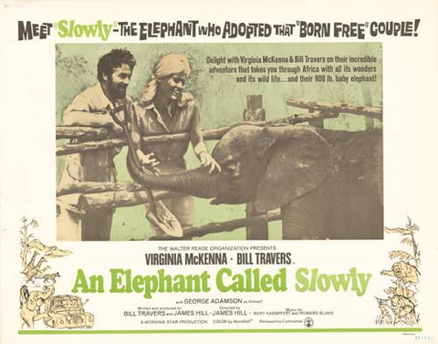 Elephant Called Slowly