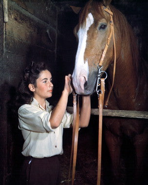 National Velvet