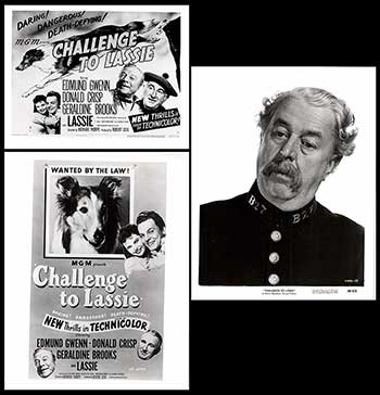 Challenge to Lassie