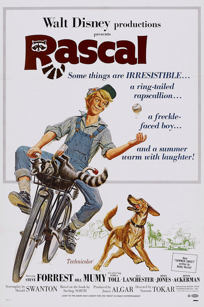 Universal Studios Rascal Rascal