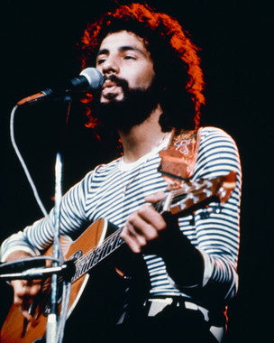 Cat Stevens