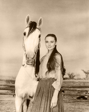 Unforgiven