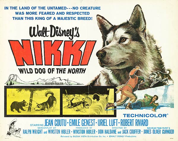 Nikki Wild Dog of the North
