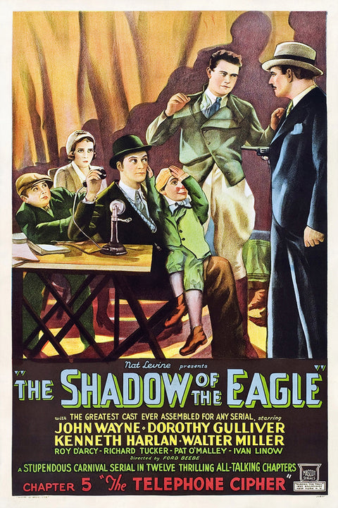 Shadow Of The Eagle