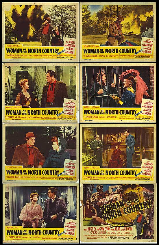 Woman Of The North Country