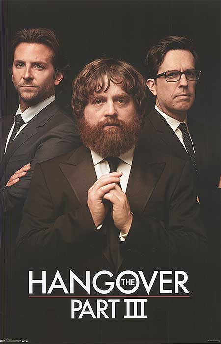 Hangover 3 Poster Harry Potter hangover-3-poster-harry-potter