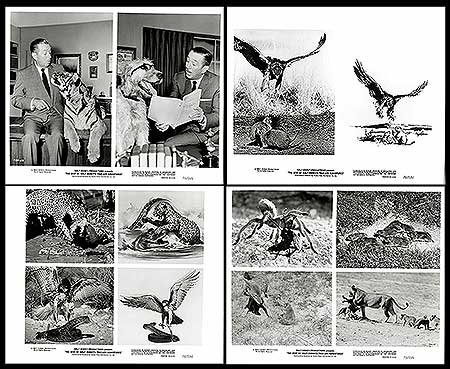 Best of Walt Disney's True-Life Adventures