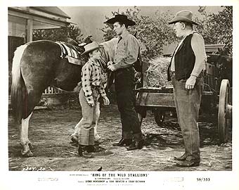 King of the Wild Stallions