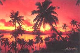 Sunset & Palm Trees 3
