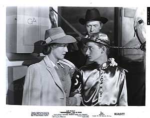 Thunderhead Son of Flicka