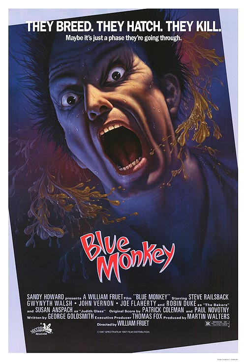 Blue Monkey