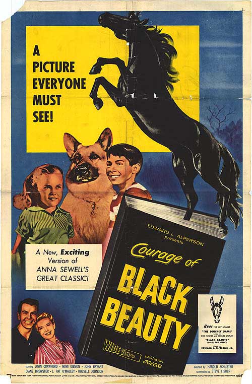 Courage of Black Beauty