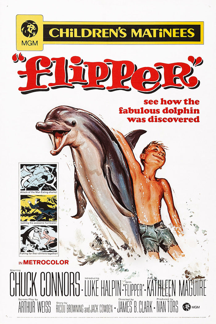Flipper
