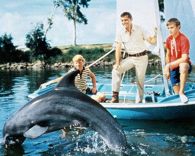 Flipper