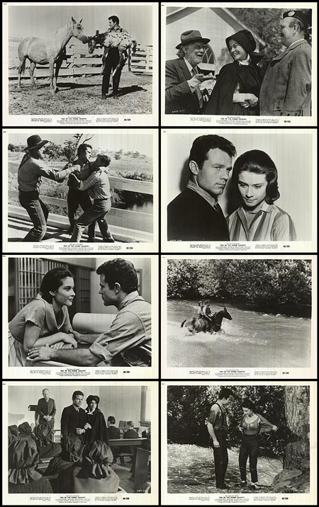 Tess Of The Storm Country