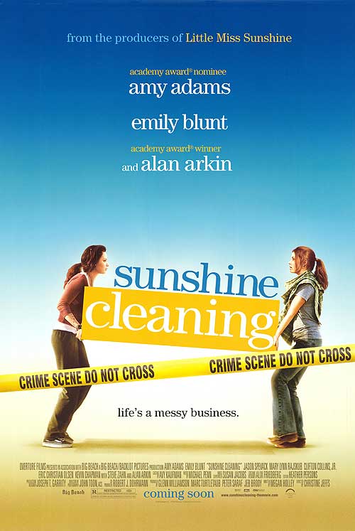 Sunshine Cleaning