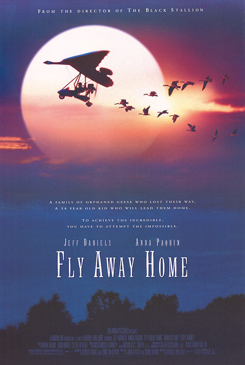 Fly Away Home
