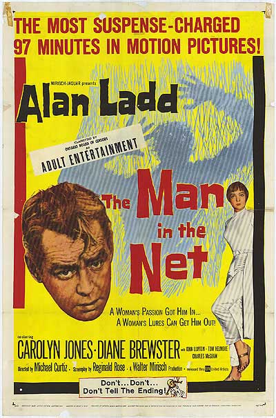 Man In The Net