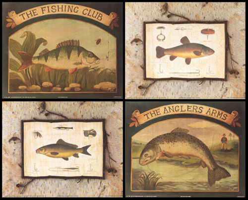 Fish