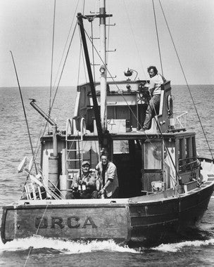Jaws