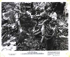 Swiss Family Robinson