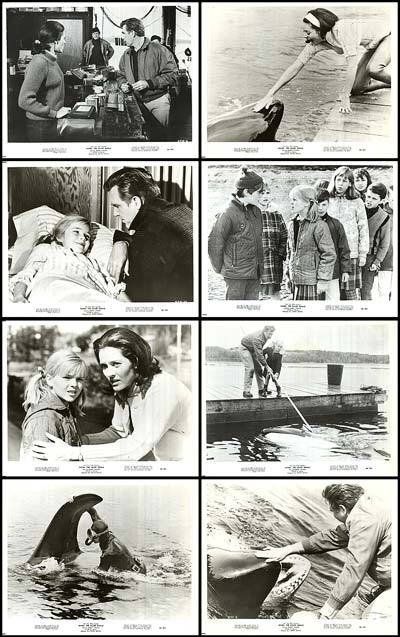 Namu The Killer Whale