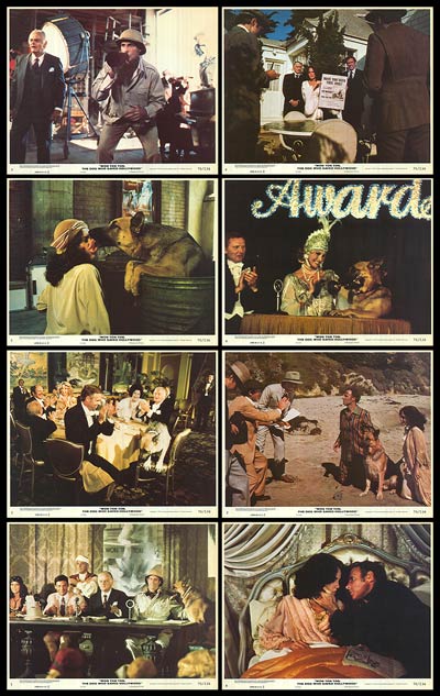 Won Ton Ton The Dog Who Saved Hollywood