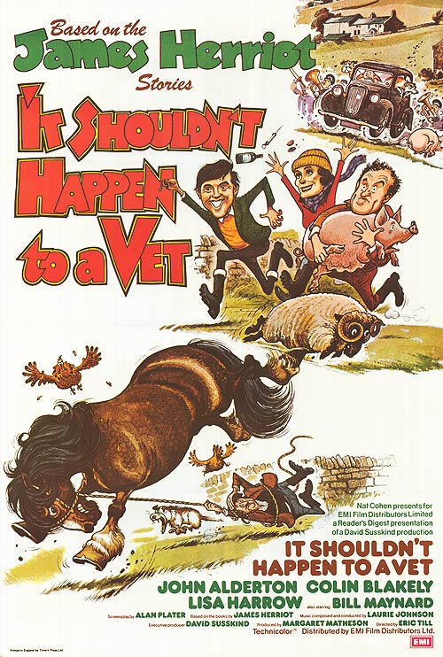 It Shouldn't Happen To A Vet