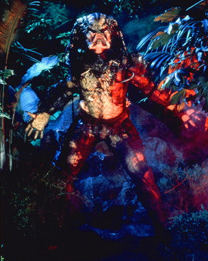 Csa Predator Predator