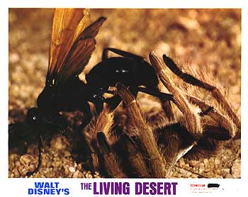 Living Desert/Vanishing Prairie