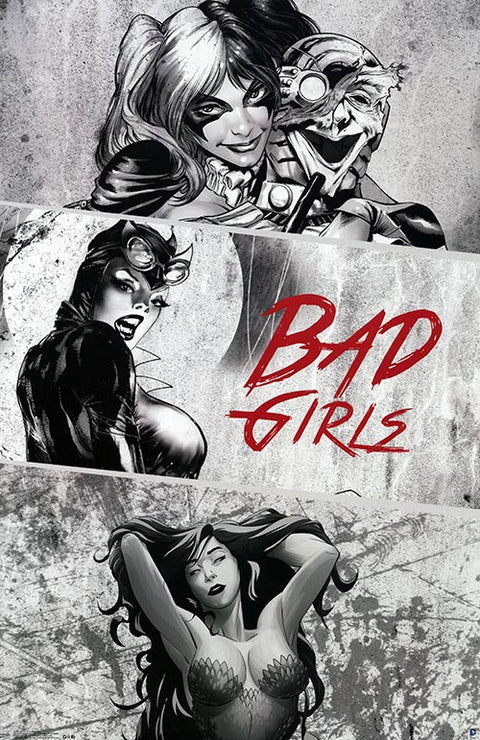 DC Comics Bad Girls