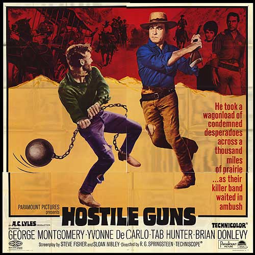 Hostile Guns